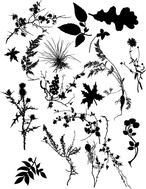 Plant Silhouettes Vector Set